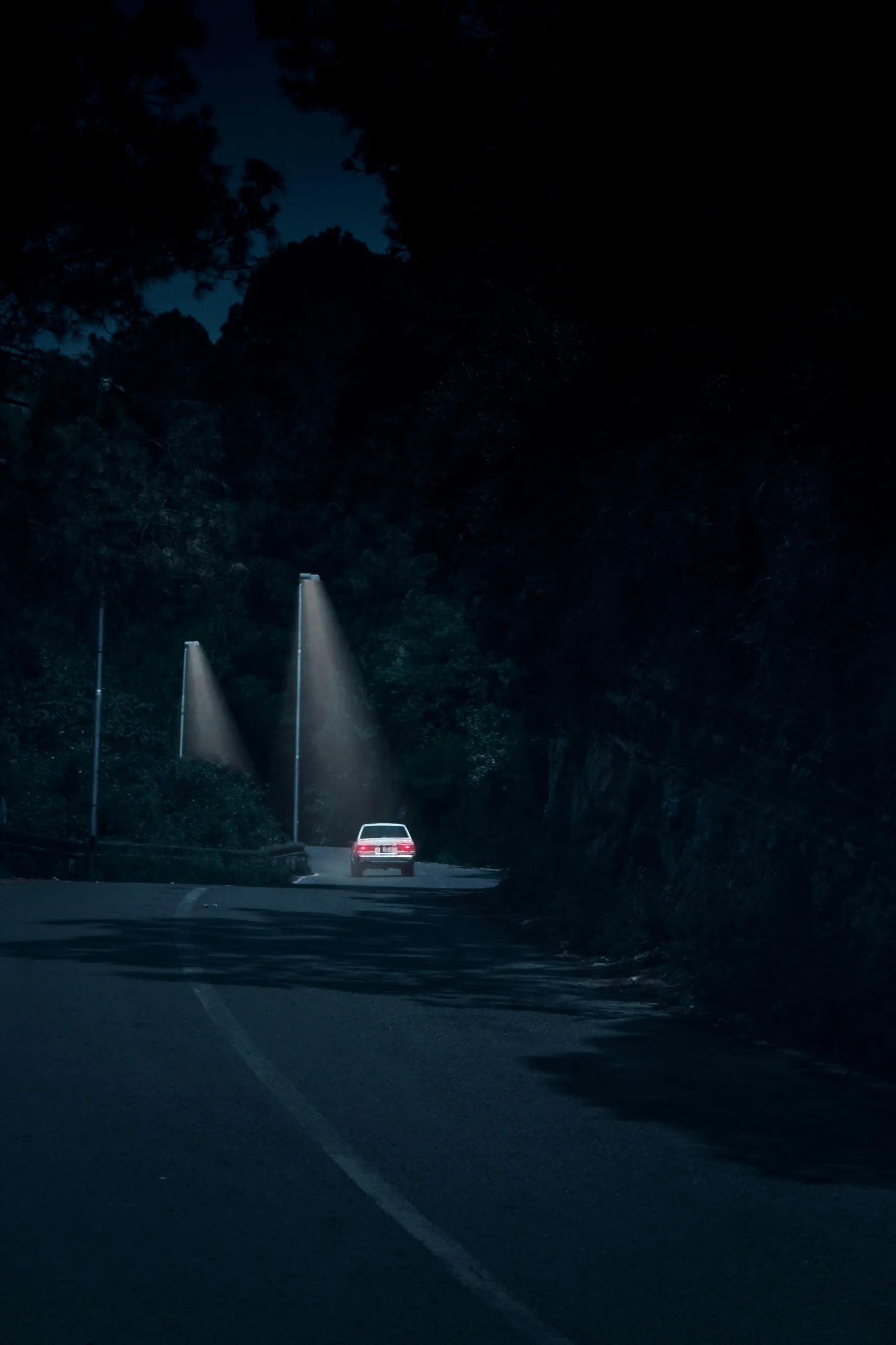 Auto na nocnej leśnej drodze ze światłami latarni